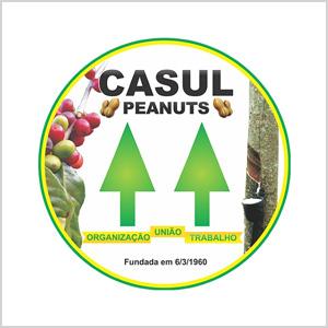 casual-peanuts